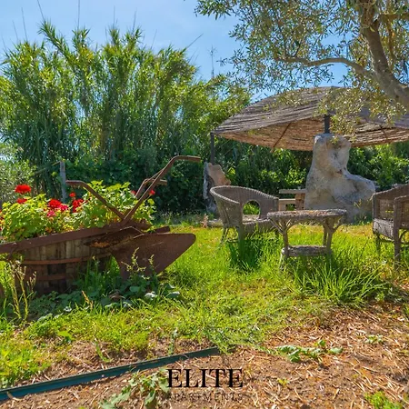 Villa Luxury Oasis Pool & Jacuzzi Olbia